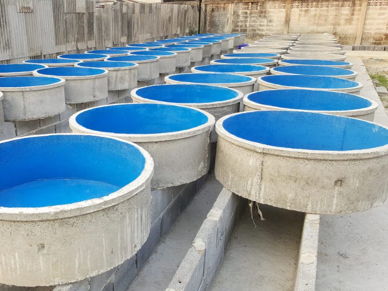 retirada uralita de bidones de agua