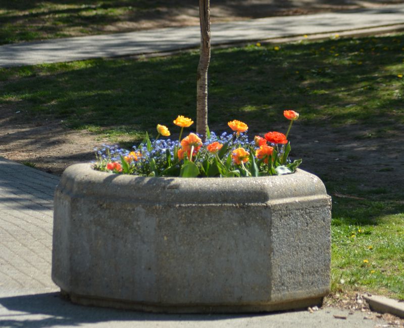 retirada uralita de jardineras