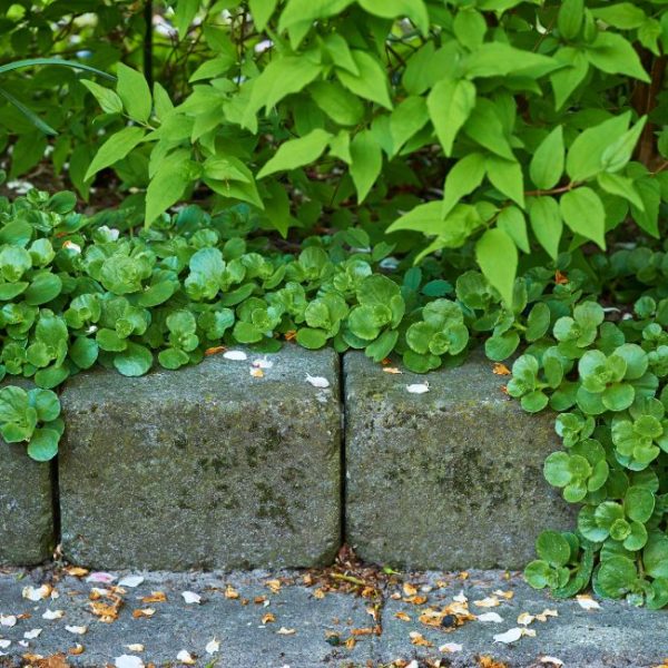retirada de jardineras fibrocemento