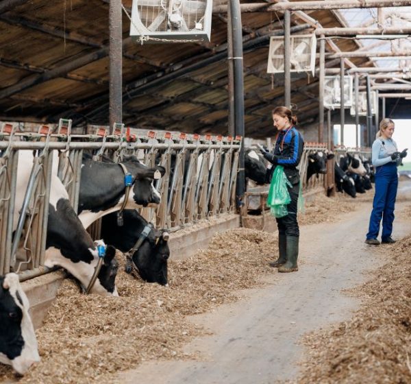 retirada de fibrocemento en naves ganaderas